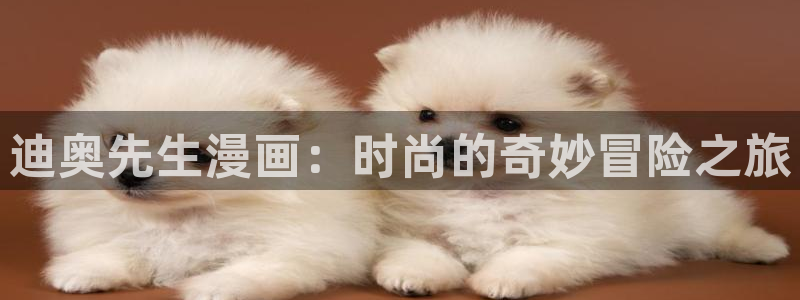 虫虫漫画免费动漫弹窗入口