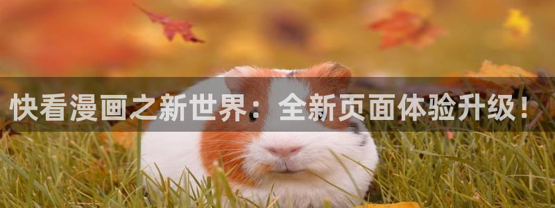 虫虫漫画免费漫画入口页面在线阅读下载