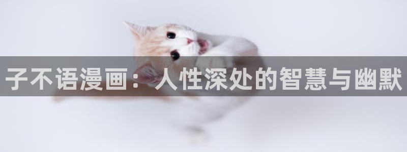 虫虫漫画网站入口